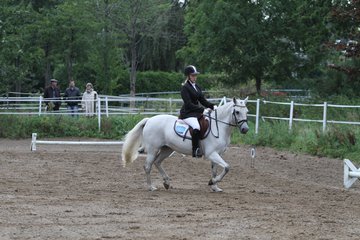 Bild 382 - WBO-Turnier am 18.9.11